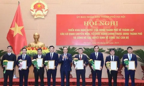 Hà Nội và TPHCM được tăng thêm bao nhiêu Phó Giám đốc sở?