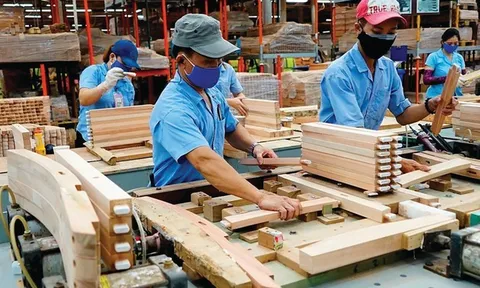 Ngành gỗ Việt Nam “né” cú sốc thuế Hoa Kỳ đầu năm 2026