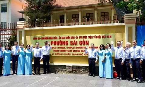 Các xã, phường ở TPHCM được lập bao nhiêu phòng chuyên môn?