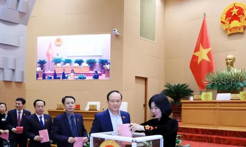 Bầu bổ sung 3 Ủy viên UBND thành phố Hà Nội