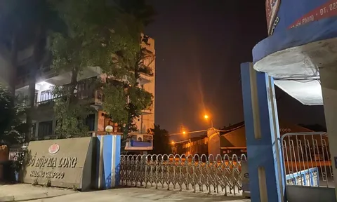 Nhà máy Đồ hộp Hạ Long tạm dừng hoạt động từ 12/1