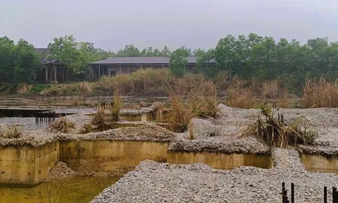 Dự án 250 tỉ đồng "chết yểu" ngay đường lên huyệt đạo thiêng