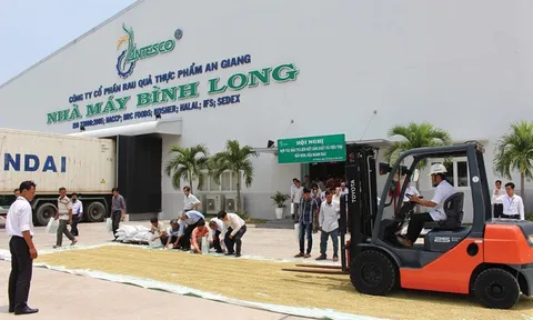 Antesco - Tân binh HoSE chốt ngày chào sàn