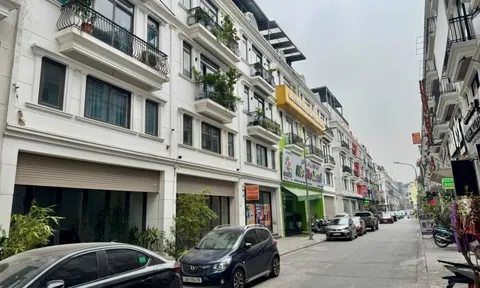 Tháng 12/2025: Bất động sản phục hồi, đầu cơ tiếp tục bị sàng lọc