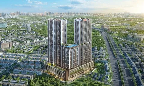 Saigon Glory và Đất xanh miền Nam bị xử phạt vi phạm công bố thông tin