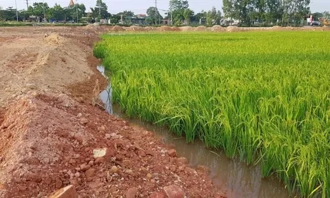 Người dân “lên thổ cư” cho đất lúa bị trả hồ sơ, Bộ NN&MT trả lời