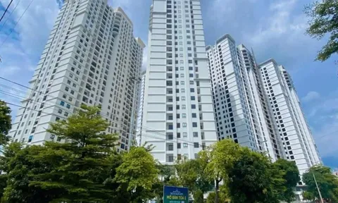 Chuyên gia dự đoán giá chung cư 2026