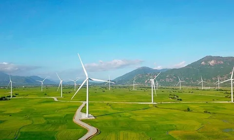 Điện Gia Lai nợ hơn 8 nghìn tỷ đồng