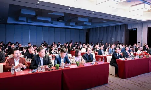 Giải mã đầu tư – đón vận hội mới 2026