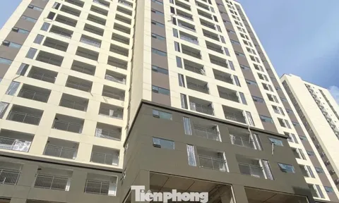 Đề án 1 triệu căn nhà ở xã hội có thể về đích sớm