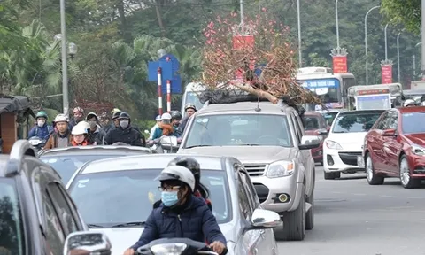 Những lỗi vi phạm giao thông dễ mắc khi đi xe trong dịp Tết và mức phạt