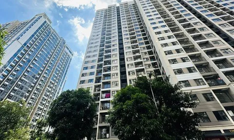 Quy định mới về quản lý vận hành nhà chung cư: Sửa đổi khung giá dịch vụ và trách nhiệm của UBND cấp xã