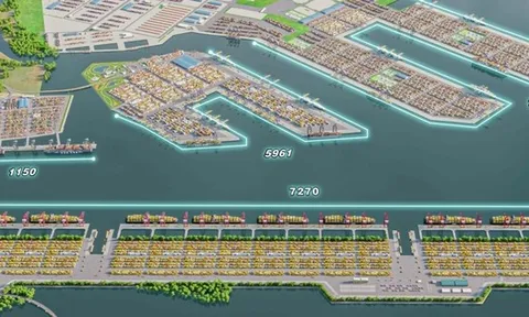 TPHCM mời gọi nhà đầu tư chiến lược thực hiện dự án Cảng trung chuyển quốc tế Cần Giờ