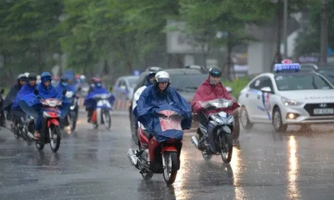 Tin gió mùa Đông Bắc mới nhất: Ngày mai, nhiều tỉnh có mưa vừa, mưa to