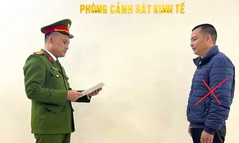 Hai giám đốc doanh nghiệp bị khởi tố