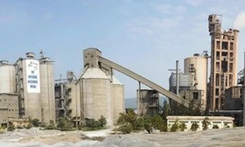 Vicem Hoàng Mai đặt mục tiêu lãi tăng 17% năm 2026 dù áp lực ngành gia tăng