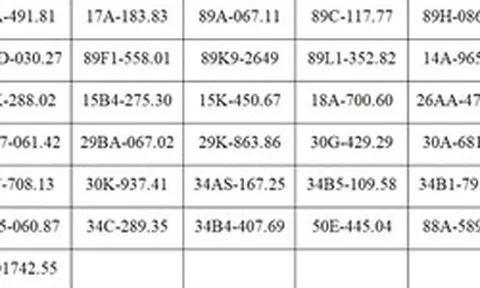 130 chủ xe máy, ô tô có biển số sau nhanh chóng nộp phạt nguội theo Nghị định 168: Mức phạt lên tới 22 triệu đồng