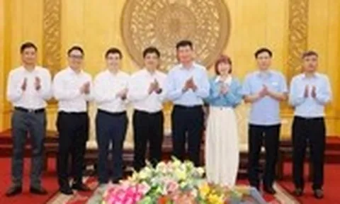 FPT thúc đẩy hợp tác chuyển đổi số và giáo dục với Ninh Bình