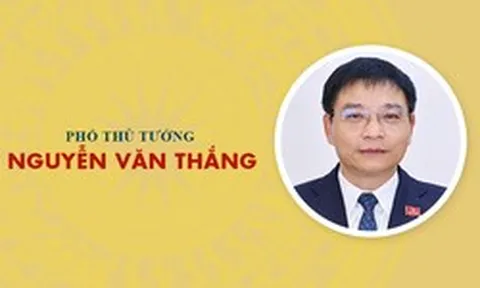 Infographic: Sự nghiệp Phó Thủ tướng Nguyễn Văn Thắng