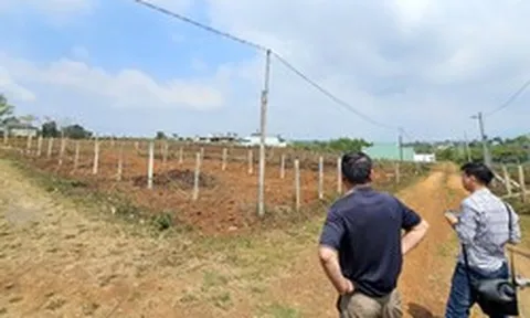 Mua bán đất ở Gia Lai diễn biến phức tạp