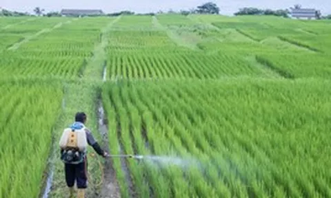 Phát minh của Trung Quốc xoay chuyển ngành phân bón: Ép chất thải độc hại thành nguyên liệu cho nông nghiệp, hiệu suất cao gấp 3 lần bình thường