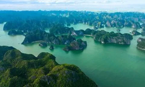 “Dấu chân” mới của MIK Group tại Cát Bà