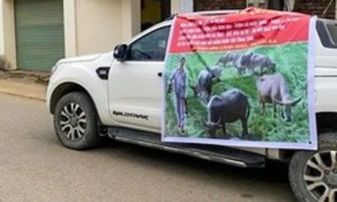 Em trai làm băng rôn nói xấu anh khắp làng ở Hà Nội: Hé lộ nguồn cơn và cái kết