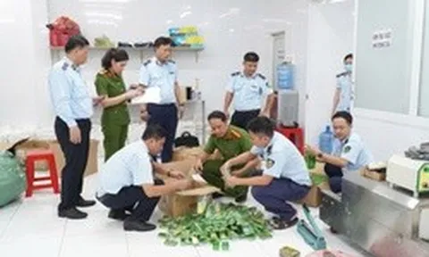 Khám xét khẩn cấp 4 địa điểm, tạm giữ 14 người trong đường dây do Nguyễn Văn Đức 36 tuổi cầm đầu