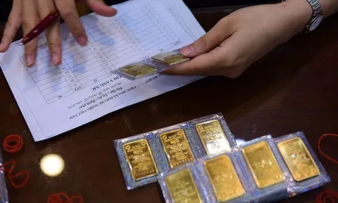 Phạt đến 50 triệu đồng nếu không khai báo việc mang vàng, tiền mặt khi xuất cảnh
