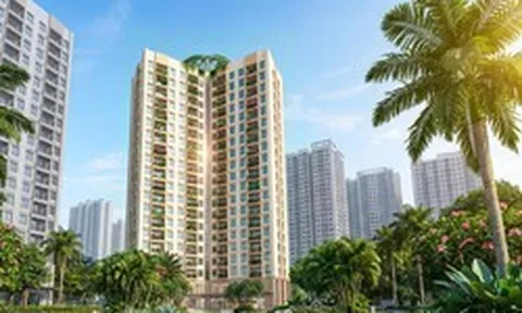 Nam Thủ đô trước cú hích siêu hạ tầng: Vì sao Viha Flora đón sóng giãn dân?