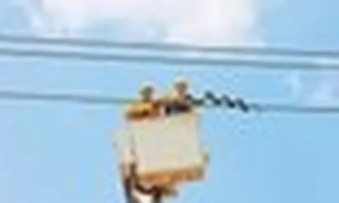 Phát hiện vật thể nhìn như rắn quấn quanh đường dây điện của Trung Quốc: "Thân phận" thực sự gây bất ngờ