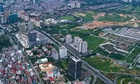 Đề xuất chưa xem xét, miễn kỷ luật với một số vi phạm đất đai cũ