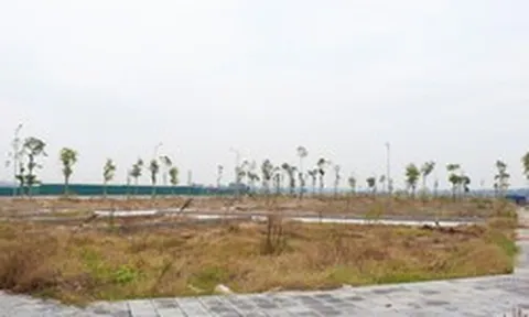 Đấu giá đất đã qua thời kỳ phải mua bằng mọi giá