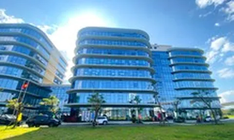 Hai doanh nghiệp muốn mở nhà máy AI đầu tiên ở Đà Nẵng