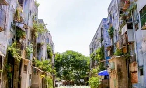 Đà Nẵng thu hồi 280 căn hộ để giải tỏa 3 chung cư xuống cấp