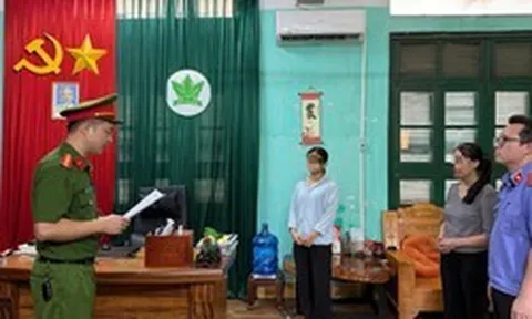 Bắt tạm giam, khám xét nơi làm việc của Chủ tịch Công ty phân bón Hà Bắc