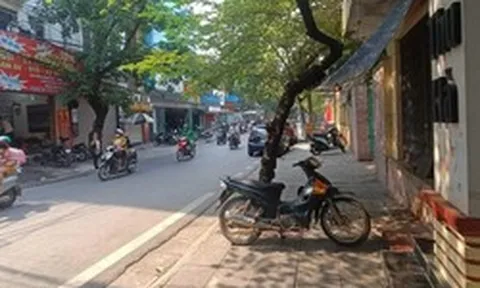 Hà Nội hủy kết quả trúng đấu giá 'đất vàng' số 18 phố Cao Bá Quát