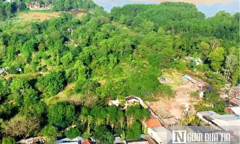 Từ ngày 31/8, tự ý chuyển đất trồng lúa sang đất ở bị phạt nặng