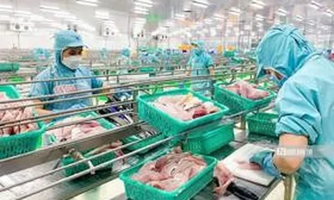 Tập đoàn Sao Mai báo lãi tăng gần 3 lần trong nửa đầu năm 2026