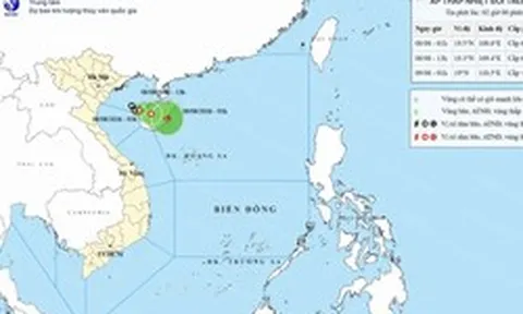 Áp thấp nhiệt đới giật cấp 8 trên Vịnh Bắc Bộ, nhiều vùng biển sóng cao đến 4m