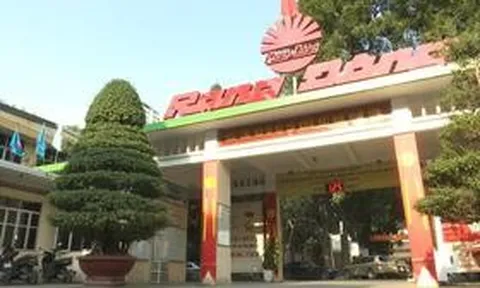 Lãi tăng mạnh trong quý II/2026, Rạng Đông sắp chi gần 59 tỷ đồng cổ tức tiền mặt