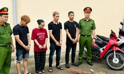 Công an bắt kẻ chủ mưu Lê Hải Ninh SN 2004 và Hồ Thị Kim Dung SN 2003
