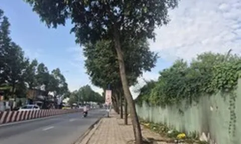 Hàng loạt sai phạm tại khu đất vàng trung tâm Đồng Nai