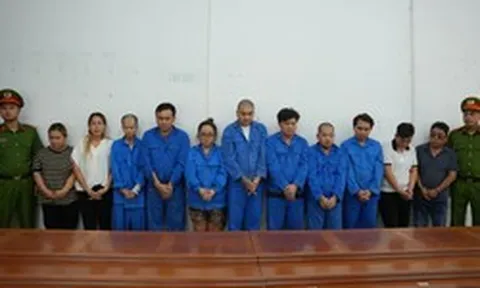 Công an TP.HCM triệt phá đường dây mua bán thận giá 1,5 tỷ/ca, bắt 11 người