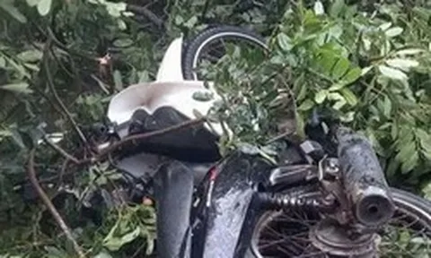 Cây xanh gãy đổ, đè tử vong nam thanh niên đi xe máy ở Đắk Lắk