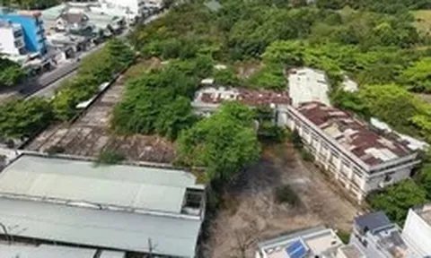 Dòng tiền đang chảy vào phân khúc bất động sản nào?