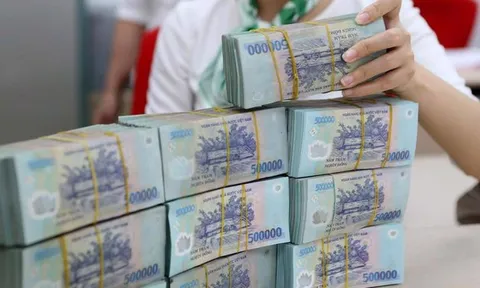Sonadezi sắp chi hơn 542 tỷ đồng trả cổ tức tiền mặt năm 2025