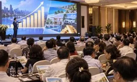 ‘Mồi nhử’ lợi nhuận khủng trong vụ án Công ty Capital Clearance Việt Nam
