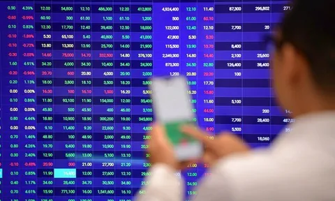 Chứng khoán EVS dính phạt 200 triệu đồng vì báo cáo sai lệnh