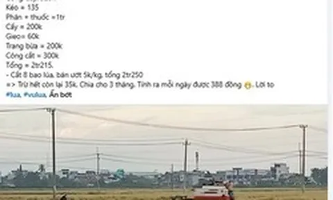 Bài đăng trồng 2 sào lúa chỉ lãi 35.000 đồng bỗng hút 2,5 triệu lượt xem: Nội dung thế nào?